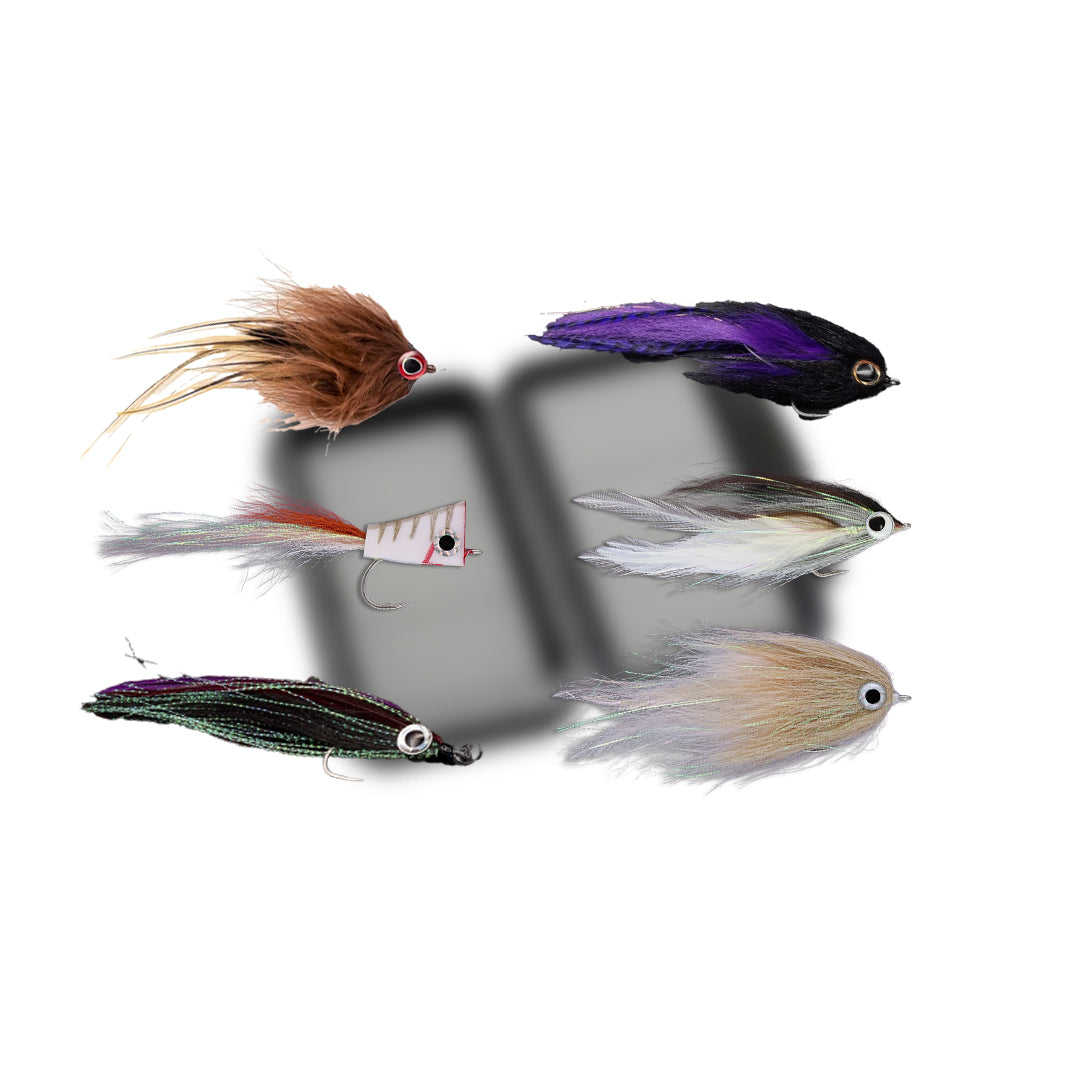 Flugpaket Malediven GT